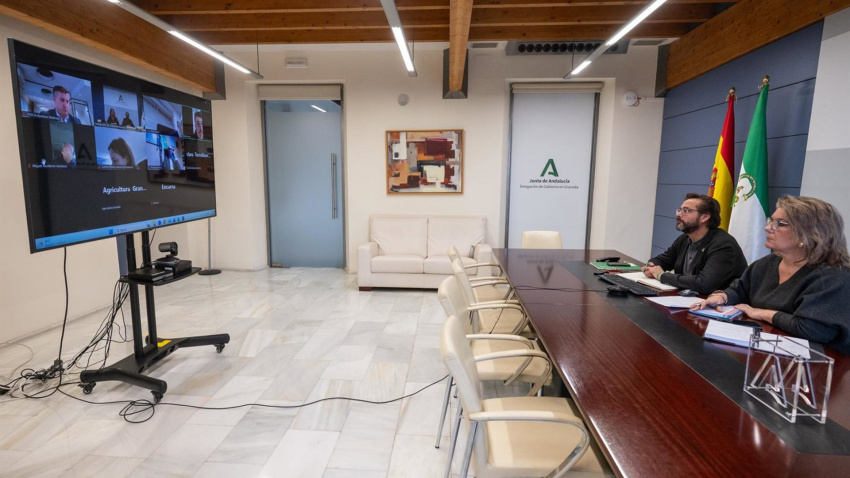 El delegado del Gobierno andaluz en Granada, Antonio Granados, y la delegada de Agricultura, Pesca, Agua y Desarrollo Rural, Carmen Lidia Reyes, en videoconferencia con las organizaciones agrarias