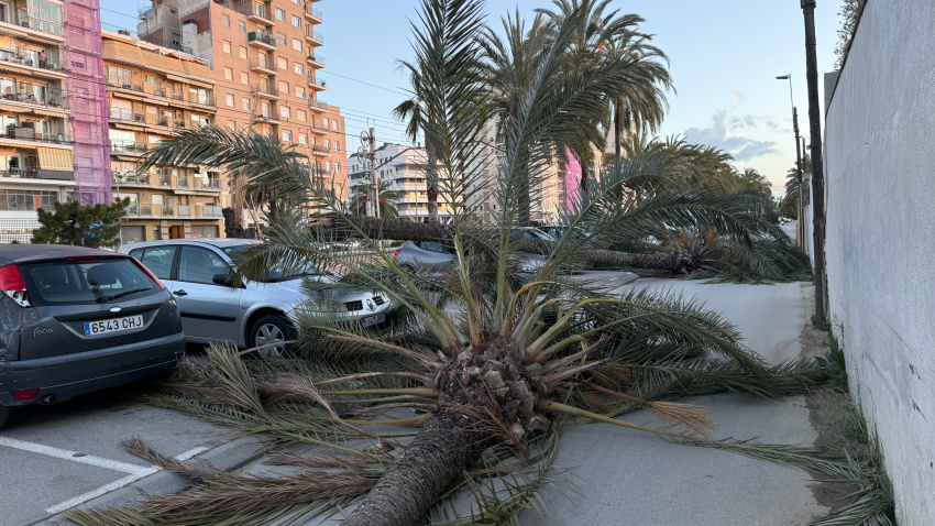 En Poniente, el Alto Pirineo y Arán, capitales como Les Borges Blanques, Lleida o Cervera han rondado los 60 km/h.