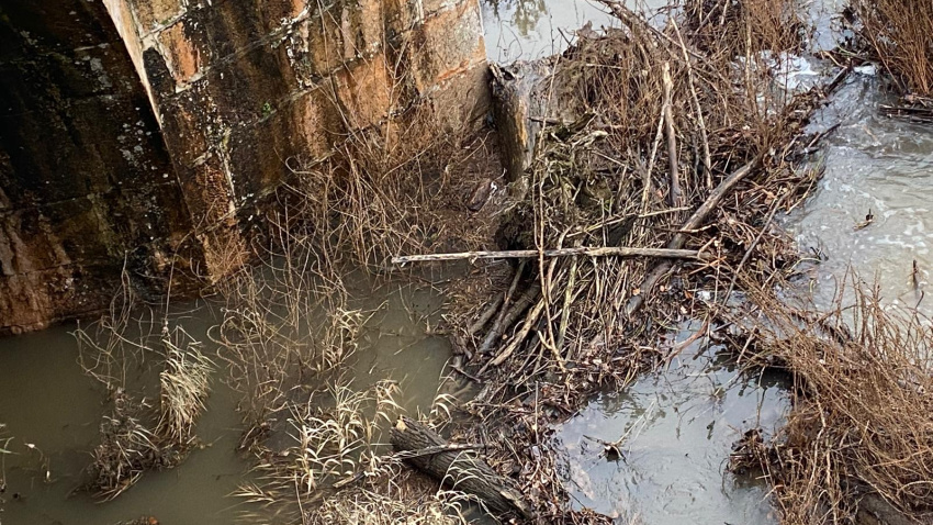 Situación del río Arlanza en Quintana del Puente (Palencia)