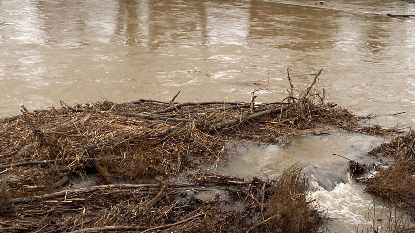 Situación del río Arlanza en Quintana del Puente (Palencia)