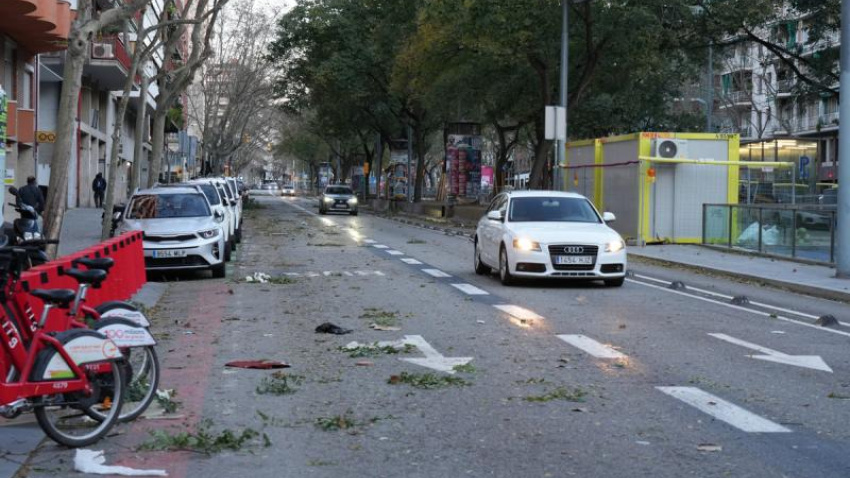 Avenida Josep Tarradellas después del temporal de viento