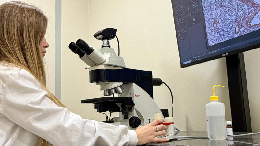 Investigación contra el cáncer de pulmón