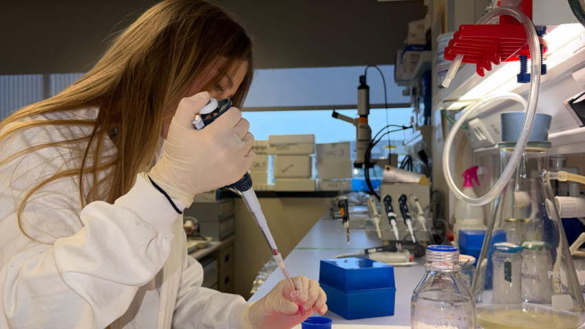 Investigación en laboratorio