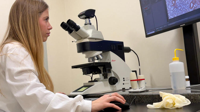 Investigación para poner cerco al cáncer de pulmón