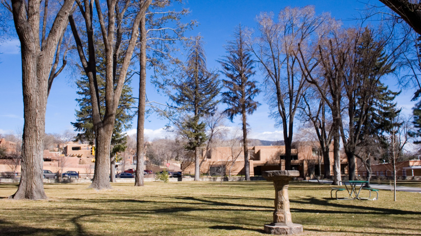 Parque en otoño en un día soleado