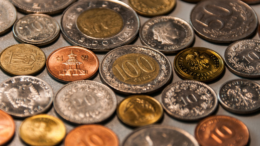 Para dar soporte y visibilidad a esta creciente comunidad, nació hace más de 70 años la asociación El Troc.