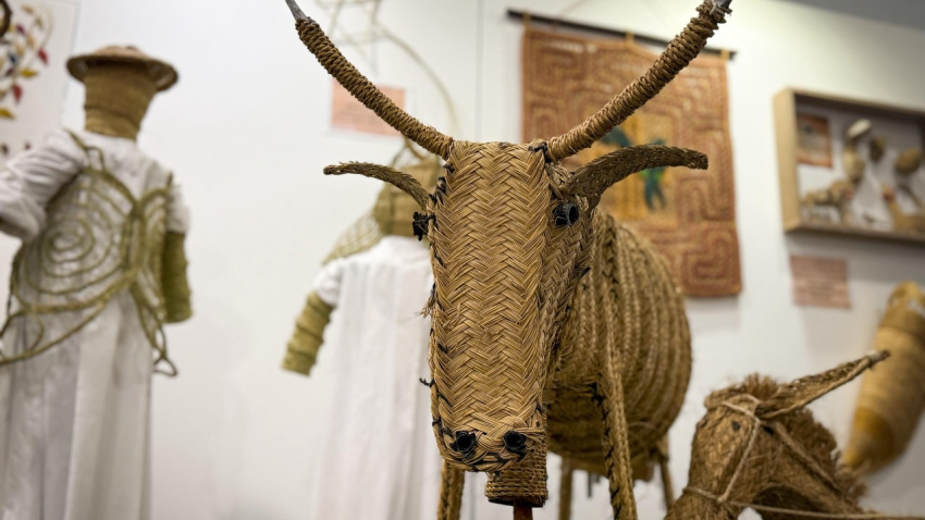 XII Jornadas del Esparto Albacete