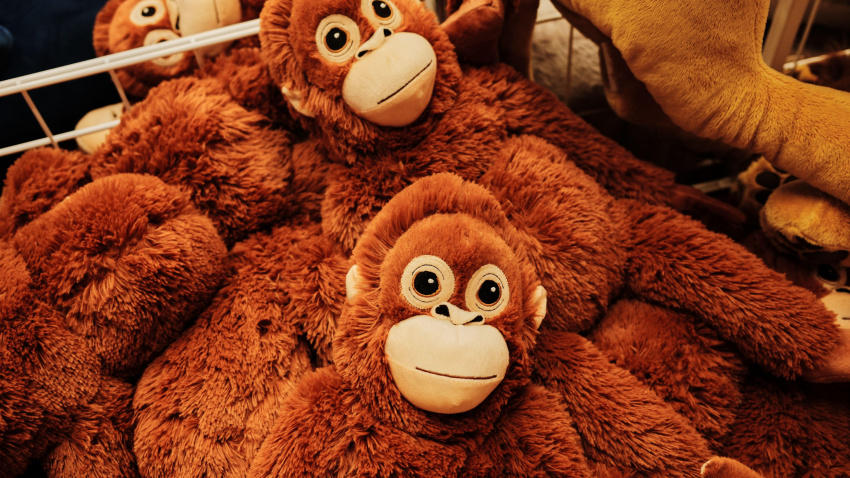 Grupo de peluches marrones de orangután con ojos grandes expuestos en una caja