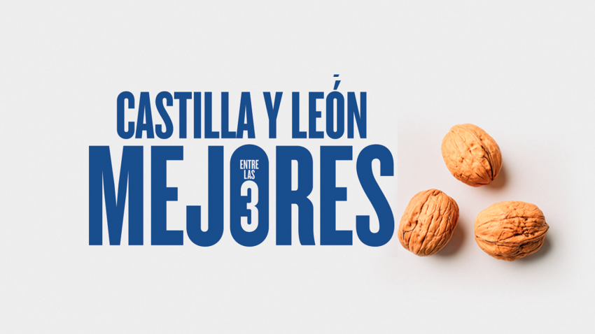 Las "nueces" del Partido Popular pasan de lema político a meme