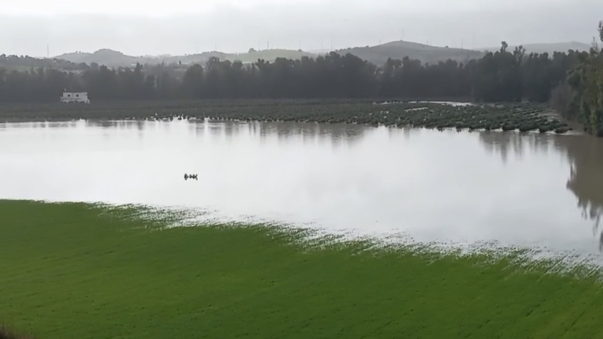 ASAJA Inundaciones 2