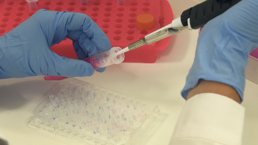 (Foto de ARCHIVO)Una científica introduce líquido en una probeta, en el laboratorio del Parque Tecnológico de Zamudio de Bilbao, a 23 de mayo de 2022, en Zamudio, Vizcaya, País Vasco (España). La empresa biofarmaceútica vasca Oncomatryx ha conseguido la autorización de la Agencia Americana del Medicamento y la Agencia Española del Medicamento para comenzar los ensayos clínicos en personas enfermas con tumores metastásicos en Estados Unidos y España. El nuevo fármaco, el primer anticuerpo conjugado desarrollado en Europa, ataca el microambiente tumoral. Los ensayos se inician tras más de 15 años de investigación.H.Bilbao / Europa Press23 MAYO 2022;CANCER;TUMORES;METASTASIS;METASTÁSICOS;ENSAYO;ENFERMOS;HUESO;PACIENTES;ONCOMATRYX23/5/2022