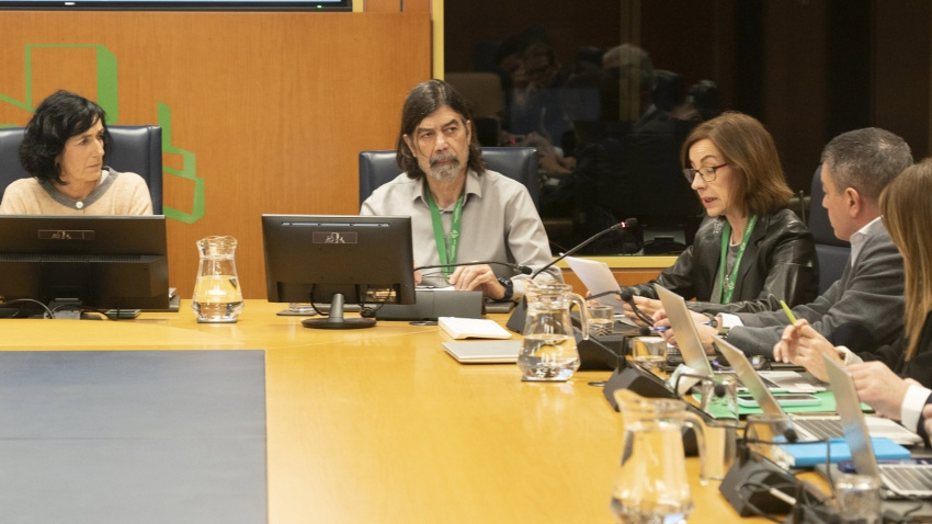 Los padres de Kerman comparecen el Parlamento vasco