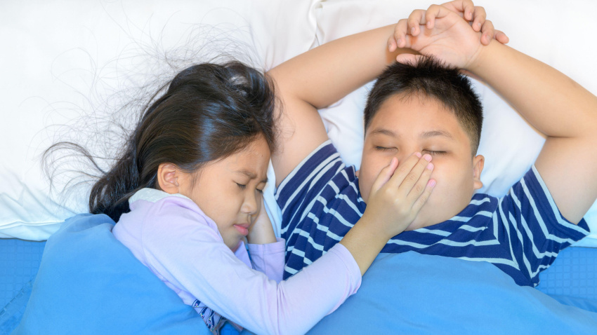 2AC9W38 Annoying snoring. Sister covered her brother's mouth. Because the snoring is very loud