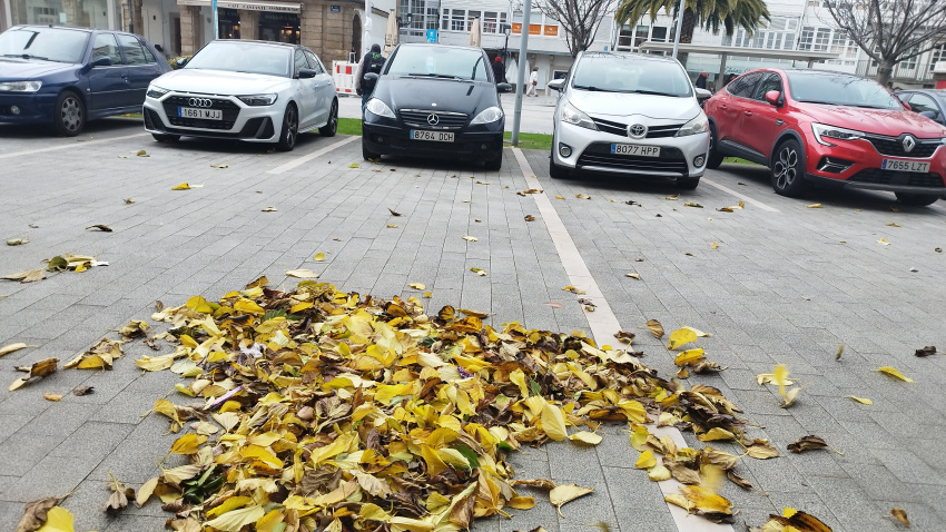 Viento que lleva un grupo de hojas en A Coruña