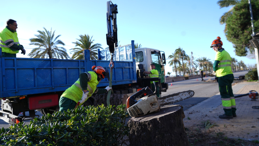 Operarios trabajando en las afectaciones por viento