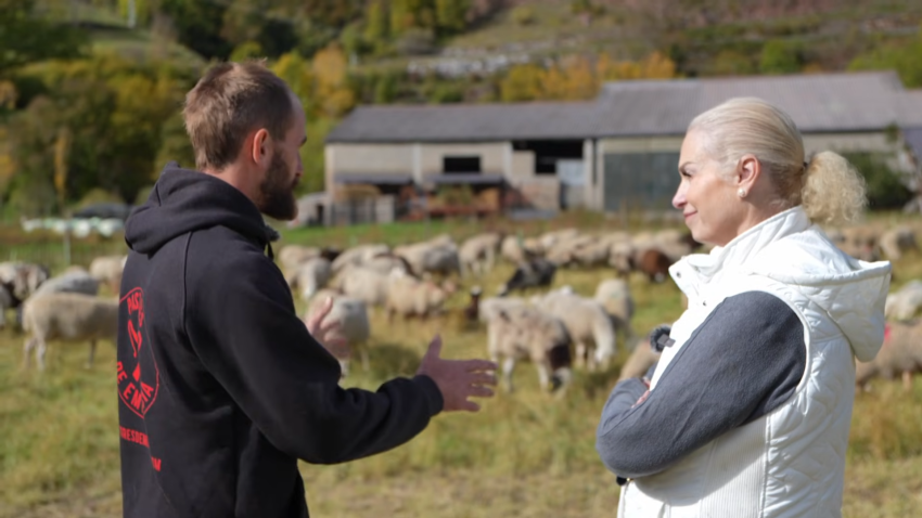 La Realidad del día a día de un Pastor de Ovejas