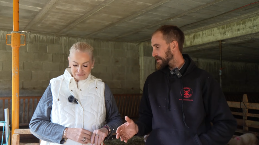 La Realidad del día a día de un Pastor de Ovejas