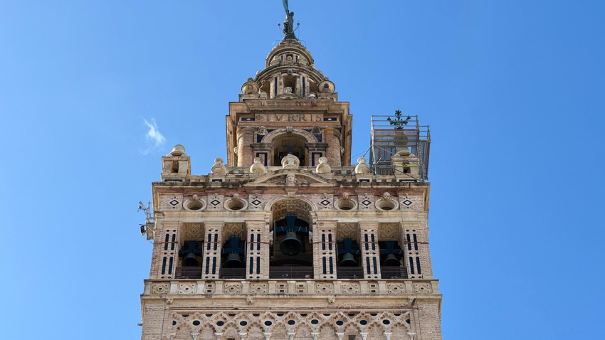 Jarra de azucena que se precipitó