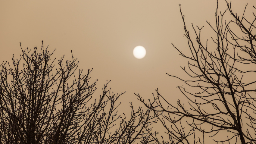 Calima en la capital leonesa. En la imagen, manto de polvo africano sobre los vehículos