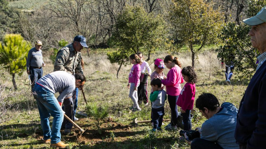 La fiesta del árbol más antigua del mundo resiste al olvido desde un pueblo de Cáceres
