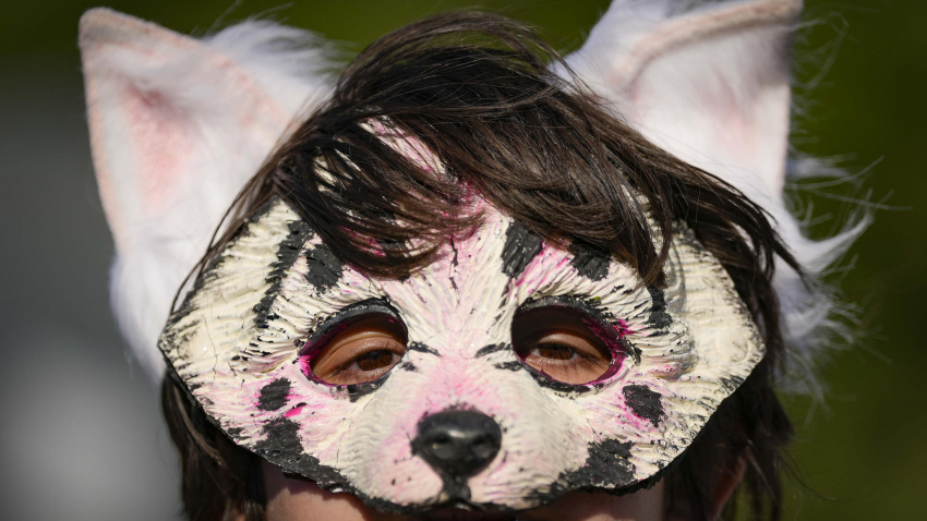 Fin -nombre ficticio-, un joven de 17 años de Sant Feliu de Llobregat (Barcelona), que se identifica con un lobo gris albino