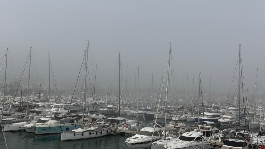 Una densa niebla engulle Dénia