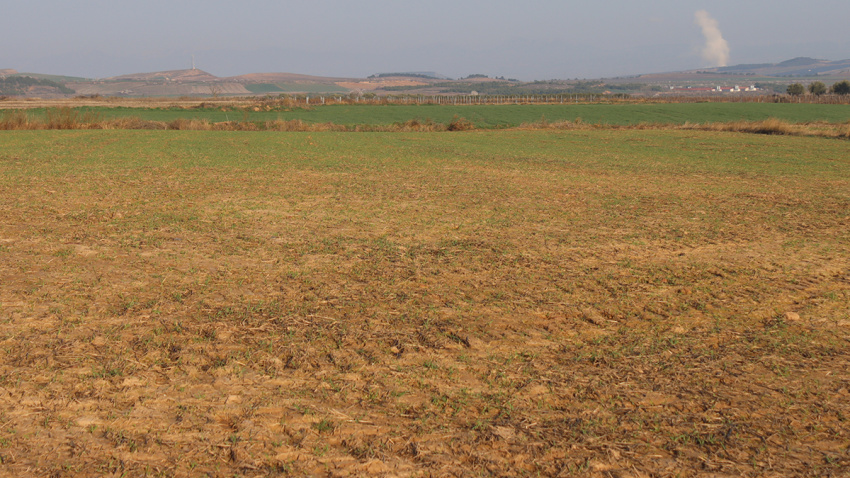 Parcelas dañadas y, al fondo, finca de cereal sin daños