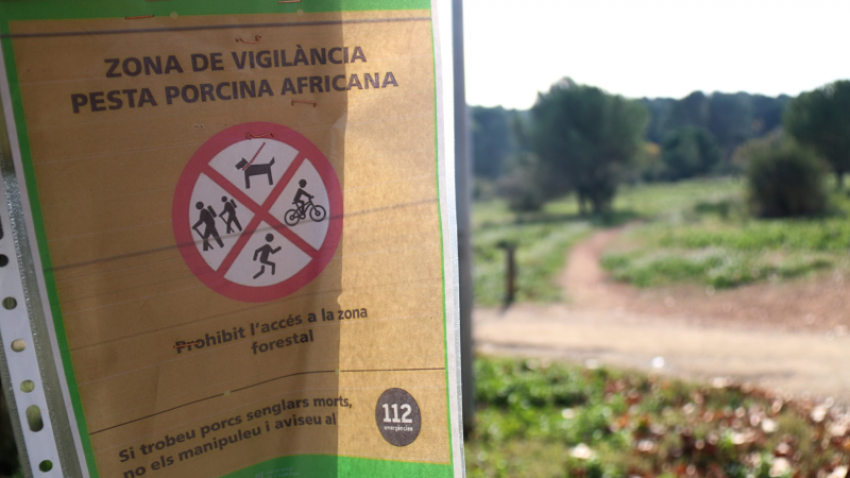 Un cartel informativo alerta de que el torrente de Llaceres, en Sant Cugat del Vallès, es una zona de vigilancia de la peste porcina africana