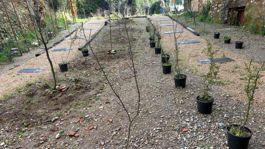 El Jardín Romántico del Bierzo (León) renace con cien nuevas plantas y un renovado Sendero de la Vida