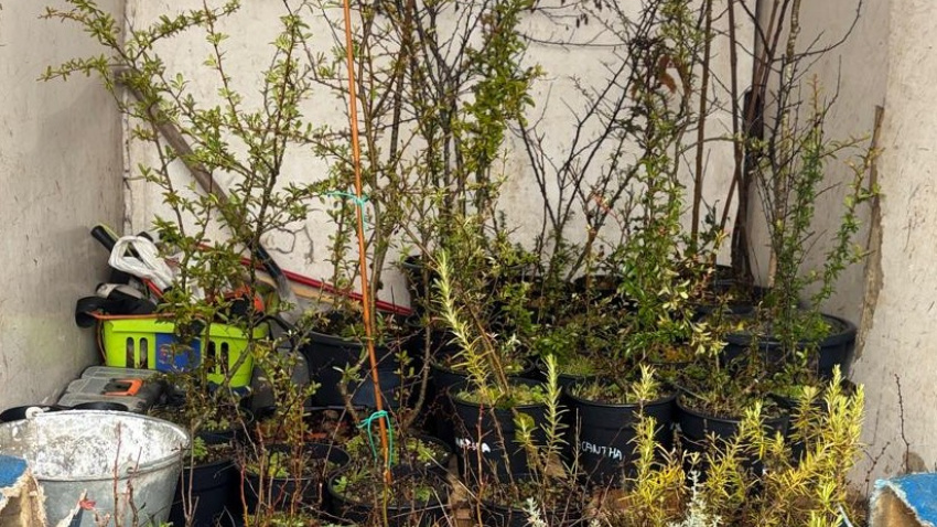 El Jardín Romántico del Bierzo (León) renace con cien nuevas plantas y un renovado Sendero de la Vida