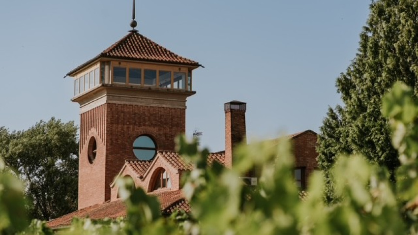 Incertidumbre entre las bodegas de Rioja