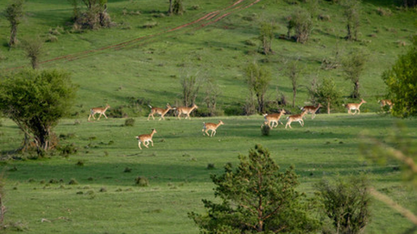 El Hosquillo (Cuenca)