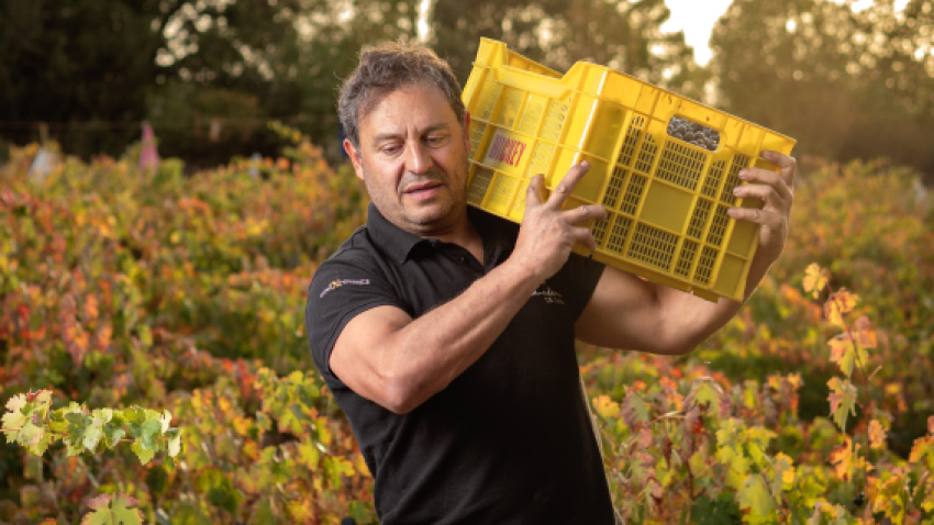 Ramiro García, enólogo, bodeguero y propietario de las bodegas Palacio de Lerma