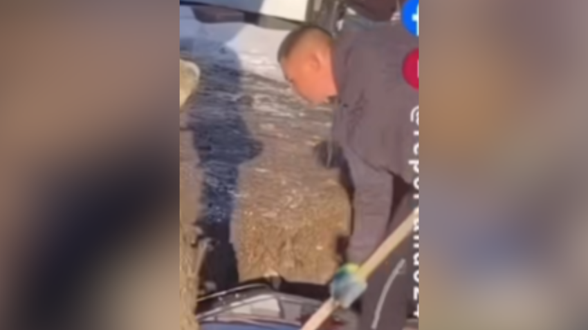 El hombre enterrando en hormiguón su BMW