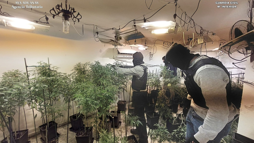 Dos detenidos en Osuna por cultivar marihuana