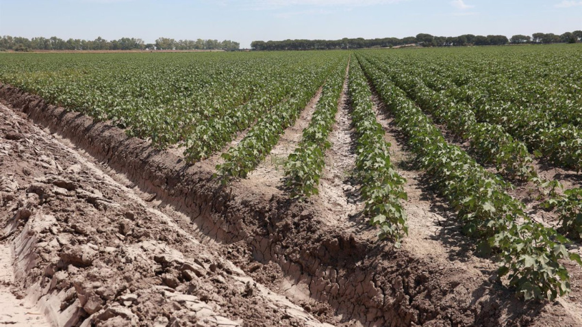 El año hidrológico empezó sin casi precipitaciones