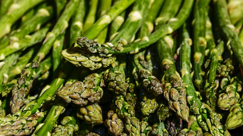 espárragos