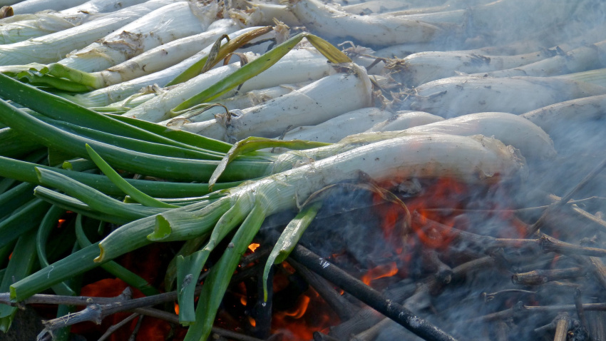 Los calçots son una de las delicias de esta zona del Baix Llobregat