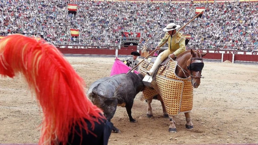 Suerte de varas en la plaza de toros de Las Ventas