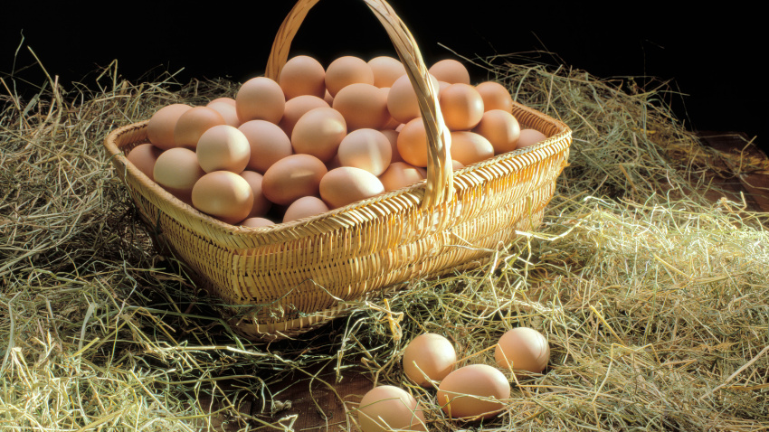 Cesta con huevos