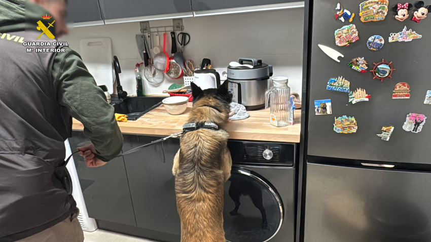 Liberadas seis personas asiáticas obligadas a trabajar hasta 14 horas al día en la Rioja