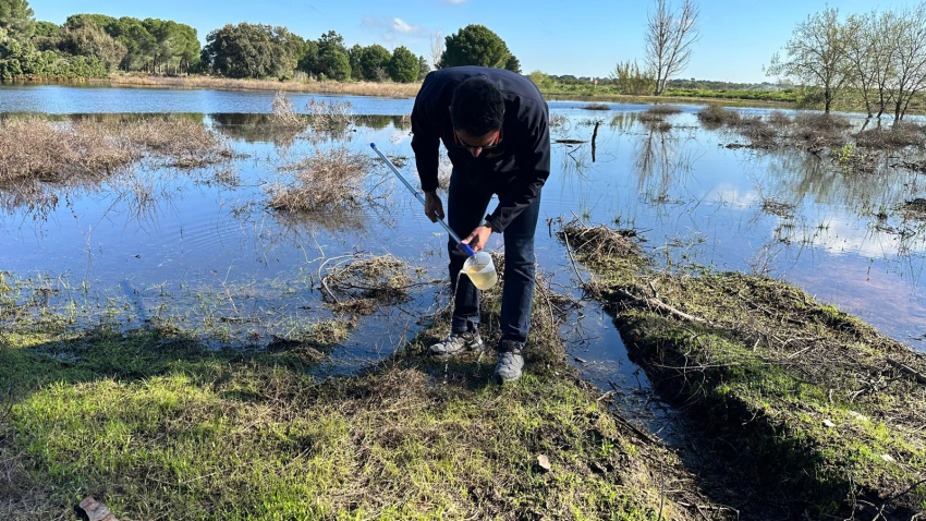 Demostración de prospección larvaria
