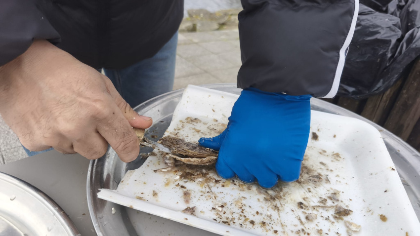 Momento da apertura da ostra