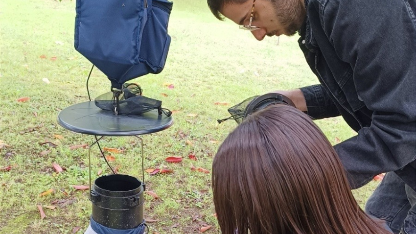 Revisando una trampa selectiva para captura de mosquitos tigre