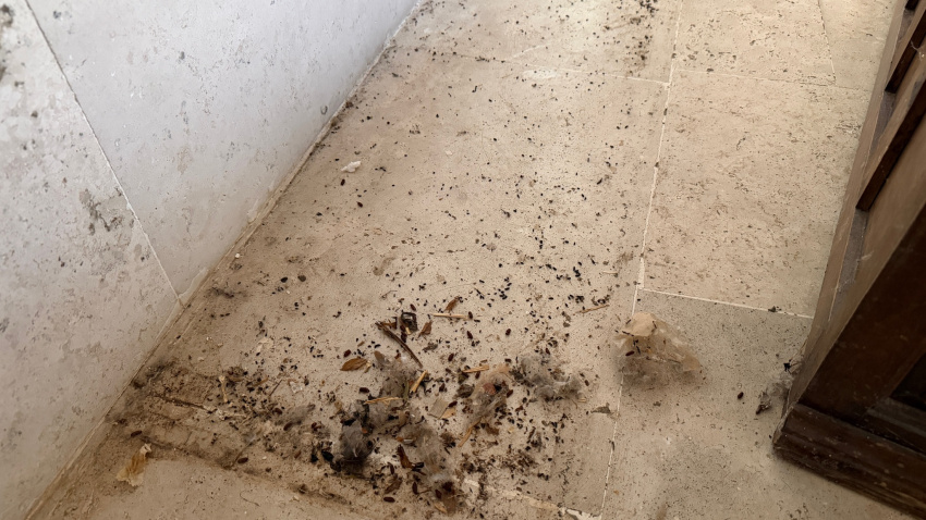 Este es el estado en el que ha quedado el interior del Monasterio de Belorado tras finalizar el proceso de desahucio de las exmonjas cismáticas