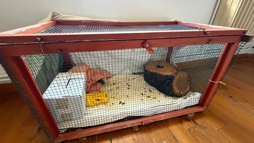 Este es el estado en el que ha quedado el interior del Monasterio de Belorado tras finalizar el proceso de desahucio de las exmonjas cismáticas