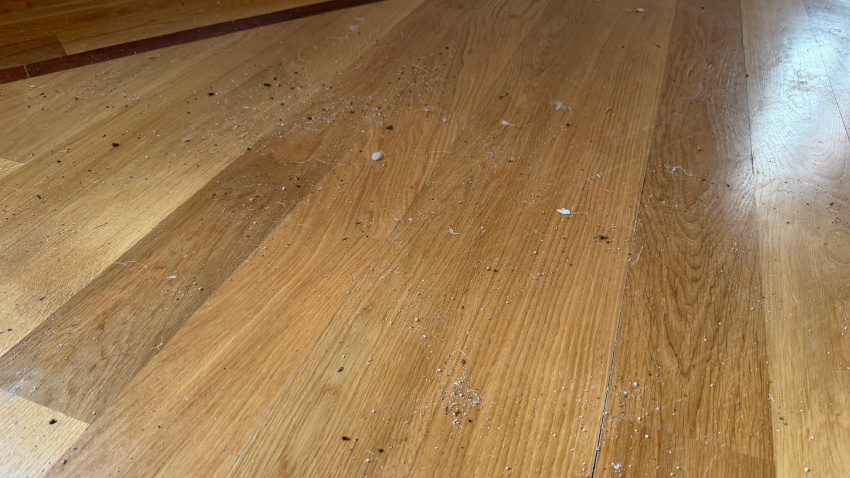 Este es el estado en el que ha quedado el interior del Monasterio de Belorado tras finalizar el proceso de desahucio de las exmonjas cismáticas