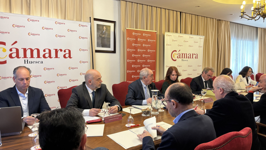 El pleno del Consejo se ha celebrado hoy en Huesca