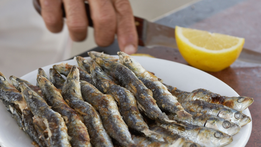 Imagen de recurso de un plato de sardinas en un bar de Málaga