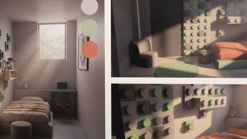 Contenido de la exposición